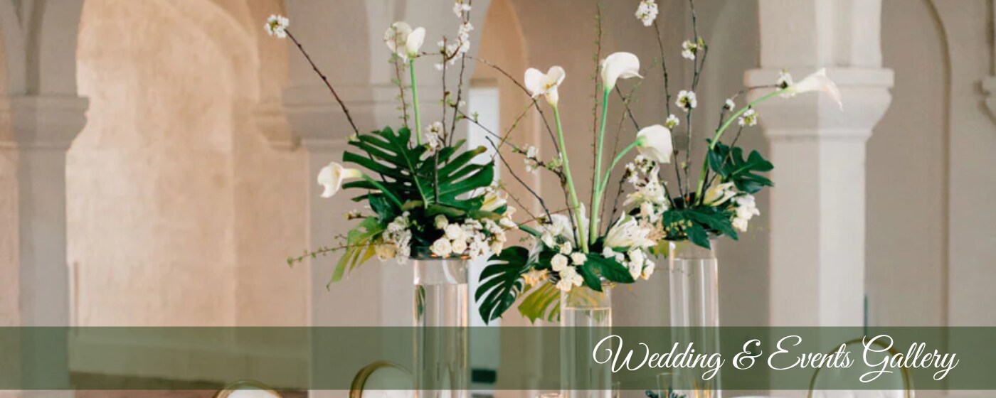 Wedding Gallery